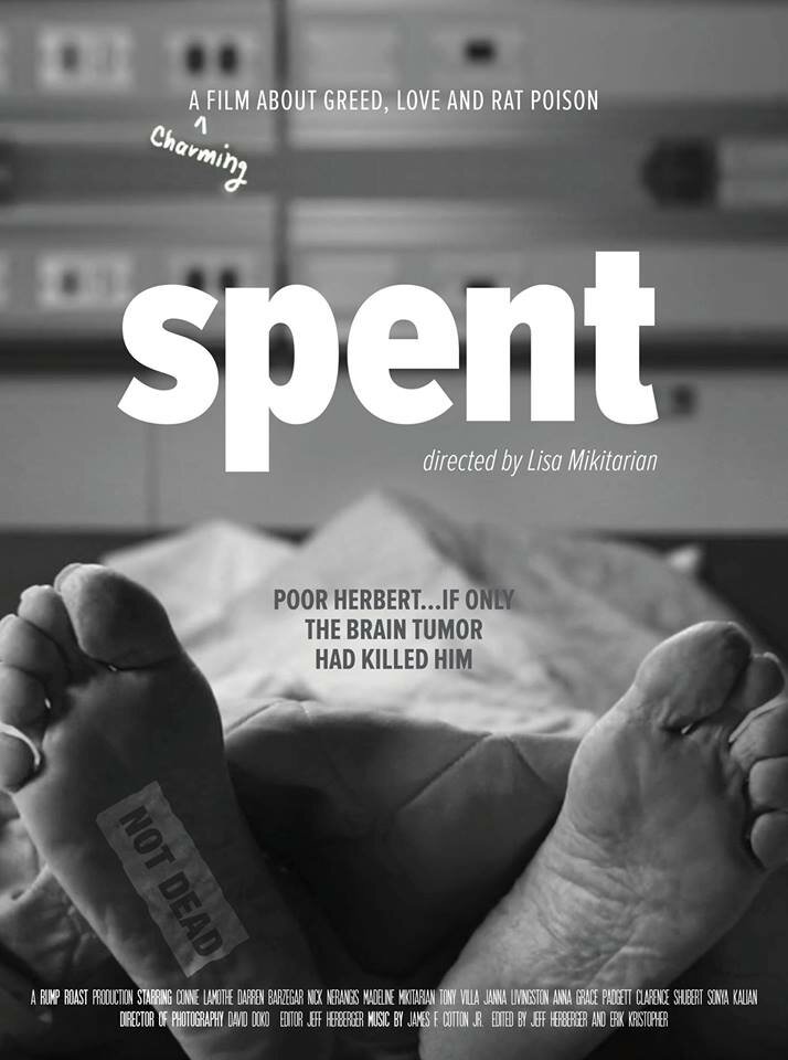 Удачно потраченные деньги / Spent (2017)