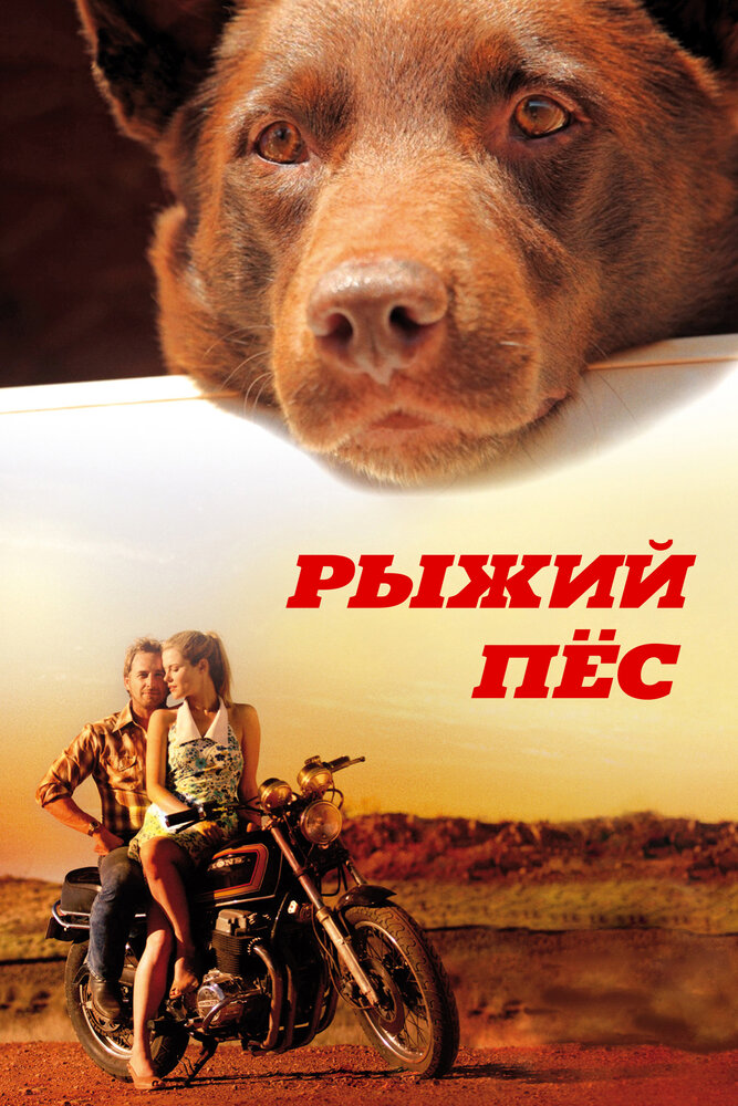 Рыжий пес / Red Dog (2011)