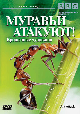 BBC: Муравьи атакуют / Ant Attack (2006)