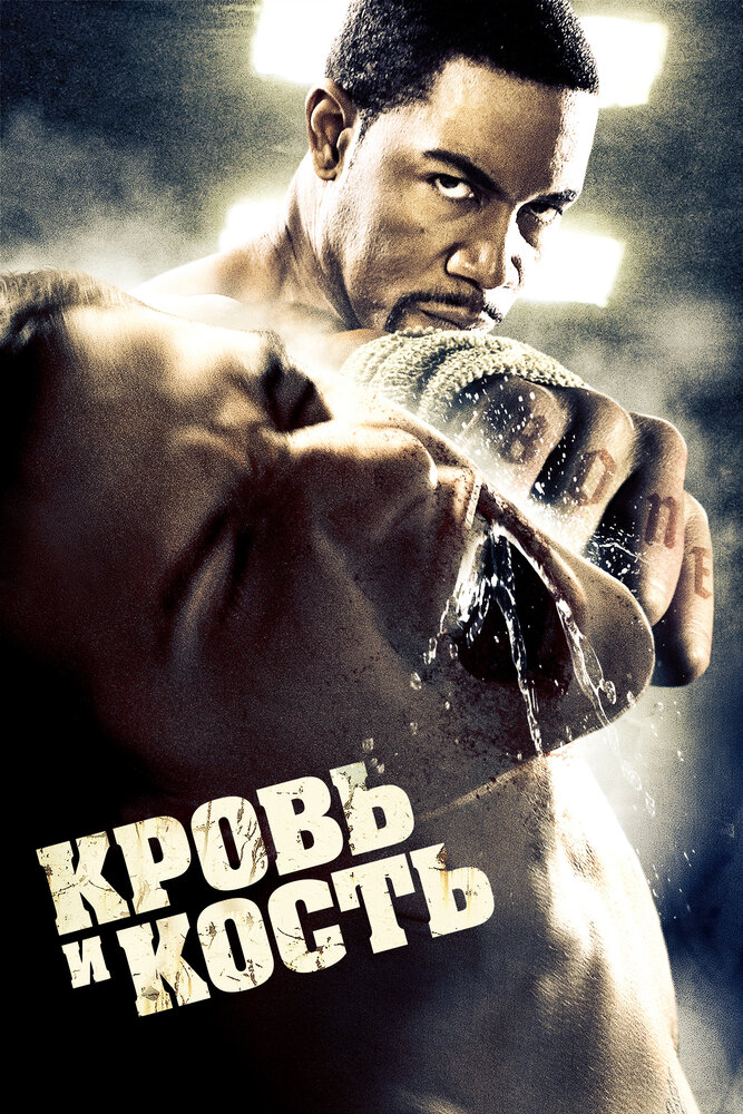 Кровь и кость / Blood and Bone (2009)