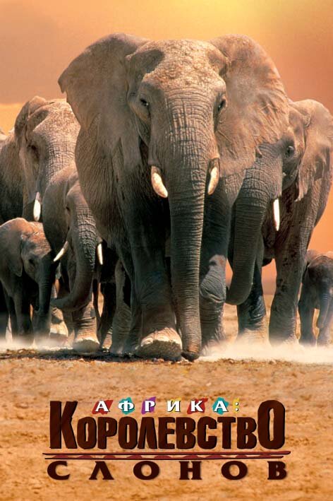 Африка – королевство слонов / Africa's Elephant Kingdom (1998)