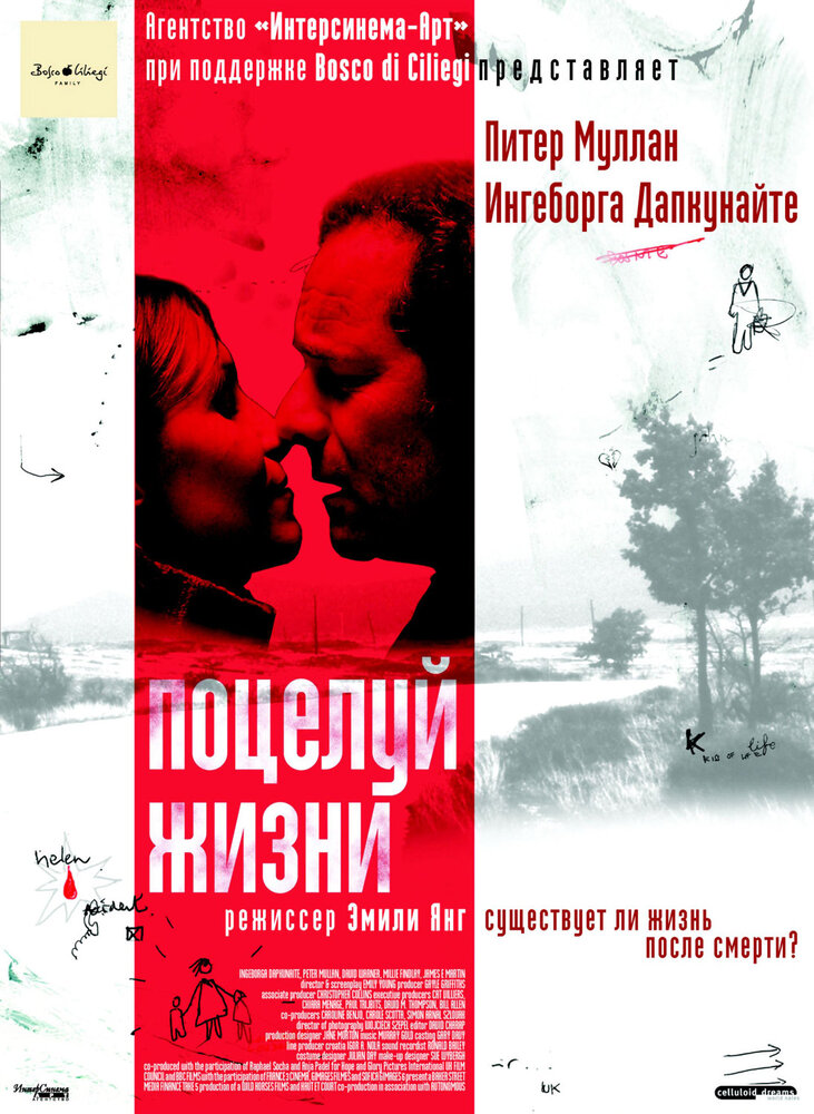 Поцелуй жизни / Kiss of Life (2003)