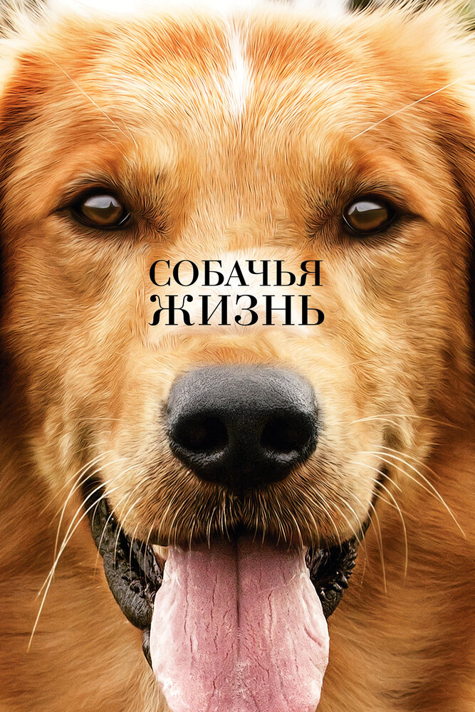 Собачья жизнь / A Dog's Purpose (2017)