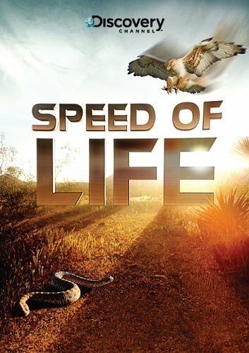 Discovery: Скорость жизни / Speed of Life (2010)