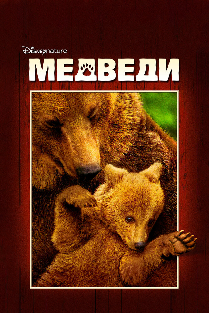 Медведи / Bears (2014)