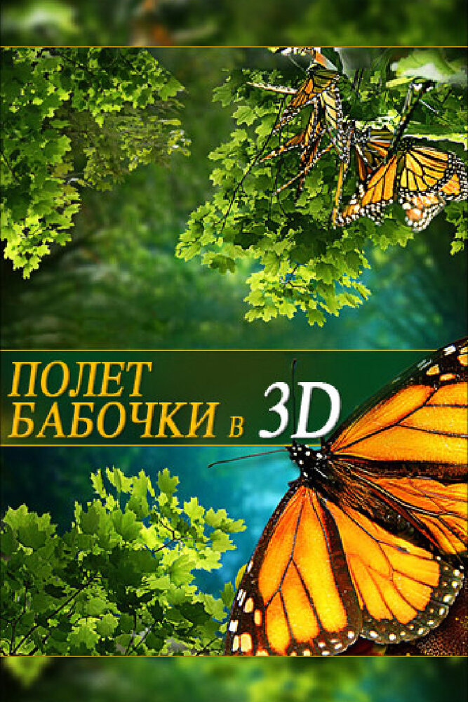 Полет бабочки 3D / Flight of the Monarch Butterfly 3D (2012)