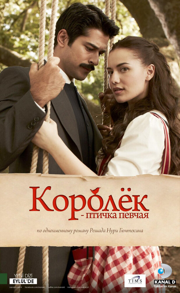 Королёк – птичка певчая / Çalikusu (2013)