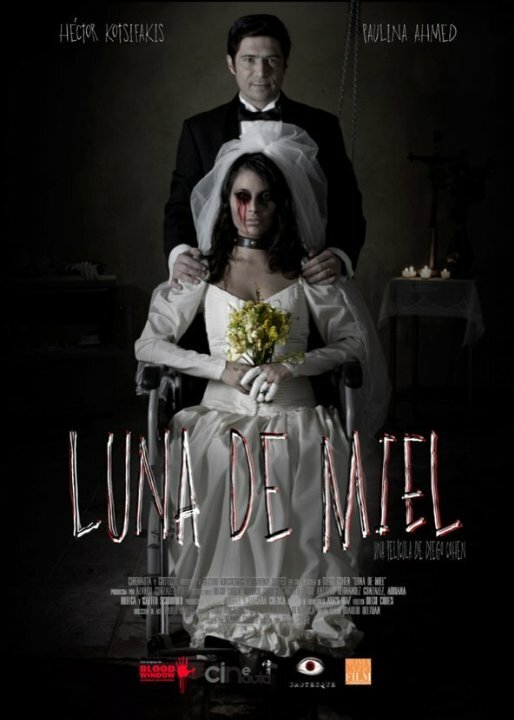 Медовый месяц / Luna de miel (2015)