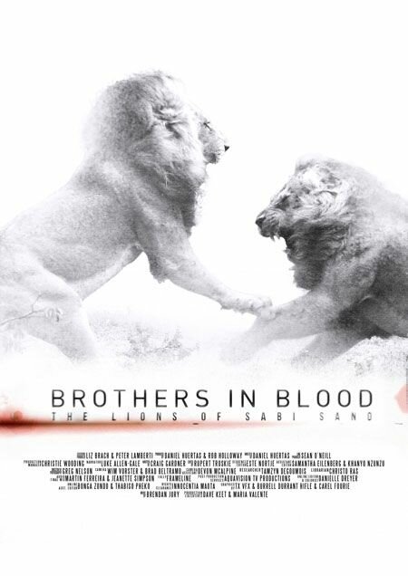 Прирожденные короли / Brothers in Blood: The Lions of Sabi Sand (2015)