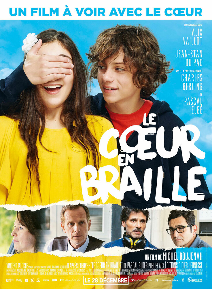 Краткий обзор / Le coeur en braille (2016)